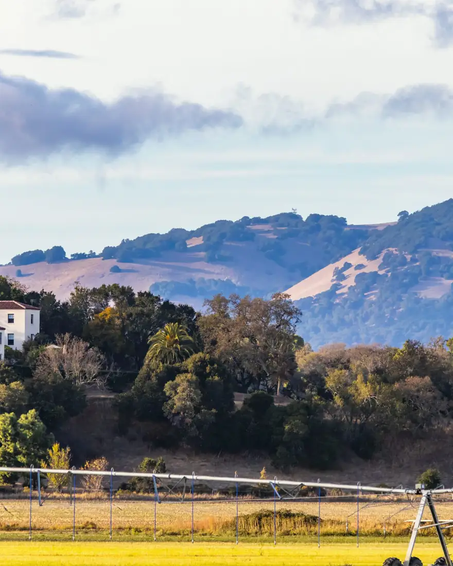 A white villa with a low tile roof on an oak-covered hillside, with golden fields and an irrigation line in front and soft brown hills behind.